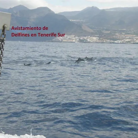 Apartamento Con El Oceano A Tus Pies. Dream Apartamento *